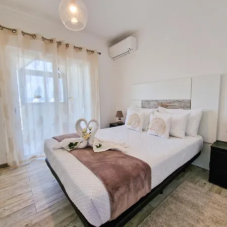 Rocha Seashell * ポルティマン