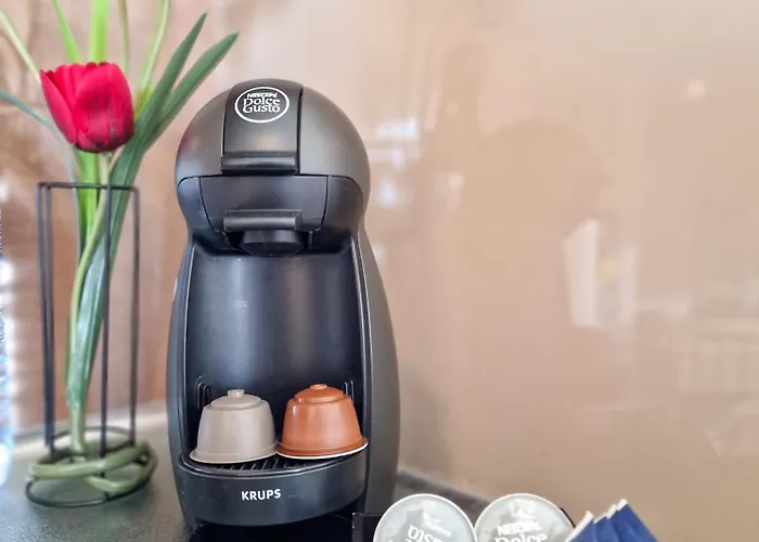 Rocha Seashell Appartement *