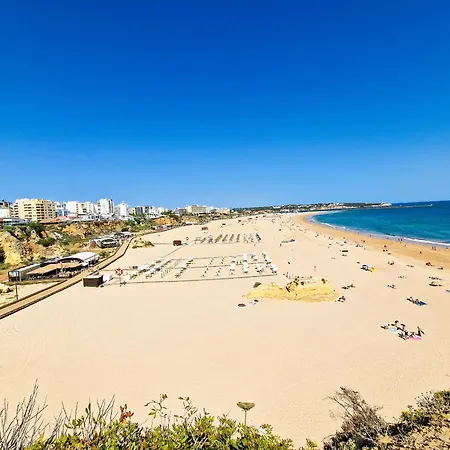 Rocha Seashell Apartment *